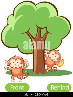 Opposite words with front and behind illustration Stock Vector