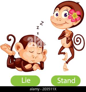 Opposite words with lie and stand illustration Stock Vector