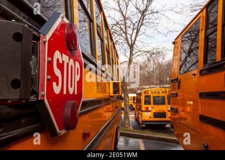 A close up image of yellow American school bus with selective focus on the stop sign on the side. Buses are parked at adjacent spots at parking lots. Stock Photo