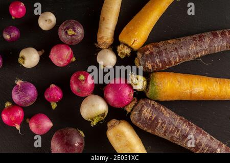 A colorful assortment of root vegetables (carrots, beetroots, turnips) arranged on black background in a stylish way. A versatile image for vegan fibe Stock Photo