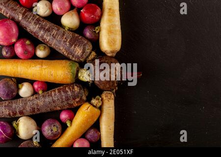A colorful assortment of root vegetables (carrots, beetroots, turnips) arranged on black background with copy space. A versatile image for vegan fiber Stock Photo