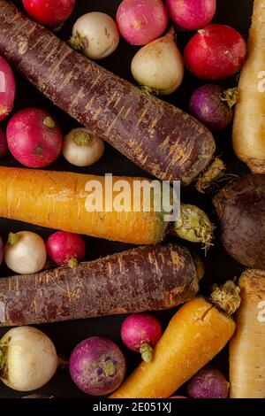 A colorful assortment of root vegetables (carrots, beetroots, turnips) arranged on black background in a stylish way. A versatile image for vegan fibe Stock Photo