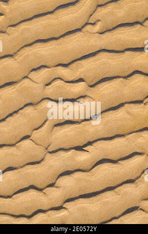 Close up of pattern of wrinkles in sand caused by wind Stock Photo