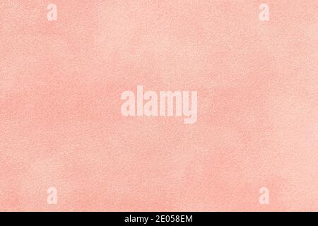 Velvet Texture of Seamless Pink Woolen Felt. Light Pink Matte
