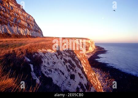Great Britain /Kent/ Dover / Beach and Cliff Stock Photo
