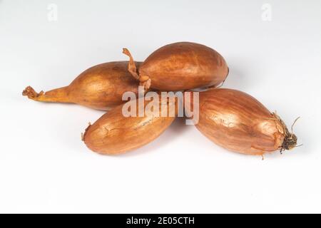 Fresh raw shallots isolated on white background Stock Photo