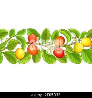 ximenia vector pattern Stock Vector