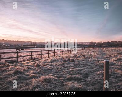 A frozen misty field at sunrise. The layers mist settle over the lower ground across a classic British countryside view at sunrise in winter. Stock Photo