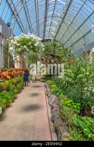 AUCKLAND, NEW ZEALAND, FEBRUARY 20, 2020: Auckland Domain Wintergardens in New Zealand Stock Photo