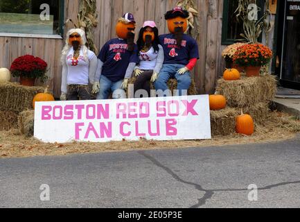 Boston Red Sox pumpkin people Stock Photo