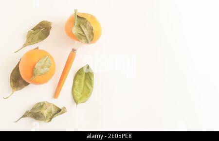Minimalistic tropical organic fruit composition,copyspace. Stock Photo