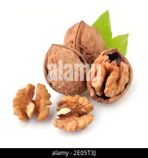 Dried walnut closeup isolated onwhite backgrounds. Stock Photo