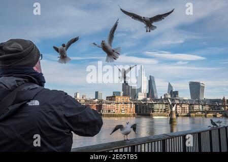 London, UK.  30 December 2020.  Seagulls attracted by a man feeding them bread, with the City of London behind.  Businesses in the City of London are waiting for guidance from the UK government as the UK/EU trade deal, which is to be ratified by MPs in Parliament today, does not include provisions for the financial services industry post 1 January 2021.  Credit: Stephen Chung / Alamy Live News Stock Photo