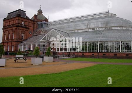 The Winter Garden at the People's Palace Glasgow Stock Photo