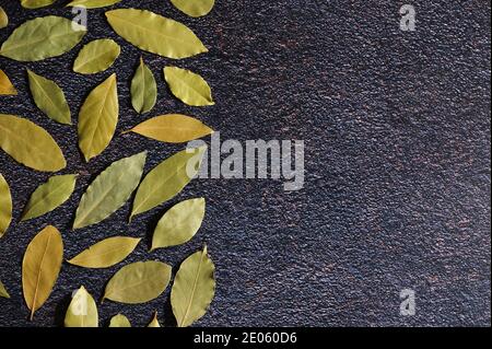 Dry Green Bay Laurel Leaves on Stone Background Stock Photo