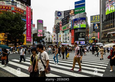 Shibuya Crossing Street Life in Tokyo, Japan