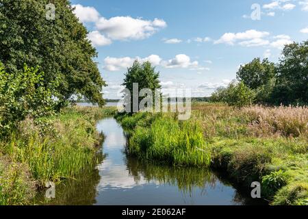 By the lake in Sunds, Jutland, Denmark. Stock Photo