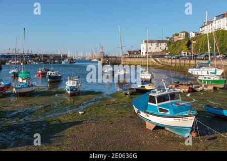 BRIXHAM, DEVON, UK - JULY 28 : View of boats in Brixham harbour Devon on July 28, 2012 Stock Photo