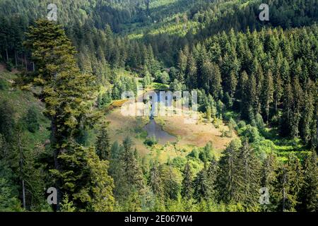 Zoomed view of the lake Ellbachsee in the Black Forest, Germany Stock Photo