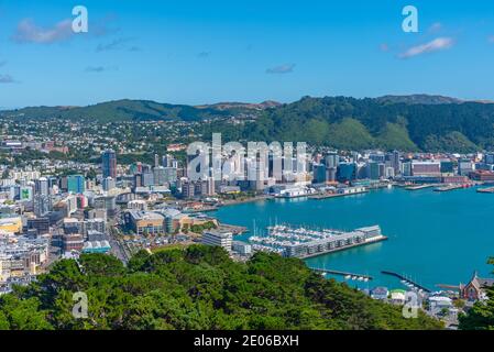 WELLINGTON, NEW ZEALAND, FEBRUARY 9, 2020: Aerial view of Wellington, New Zealand