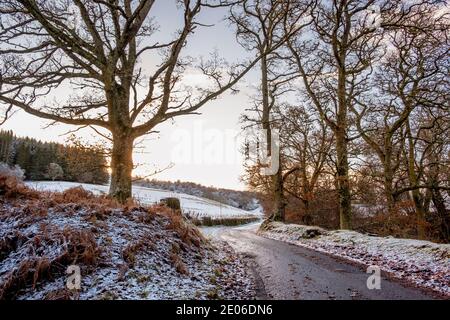 Our new road to home!  The lane up Glen Coiltie from Drumnadrochit on a cold winter morning. Stock Photo