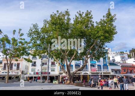 Albufeira Old Town Square With The Large Shade Tree In Wintertime The Algarve Portugal Stock Photo