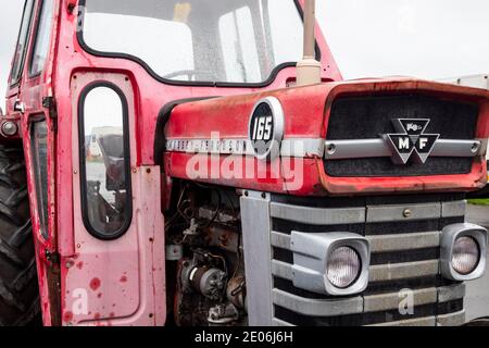 Antique Massey Ferguson 165 tractor at a vintage tractor rally in North East England Stock Photo