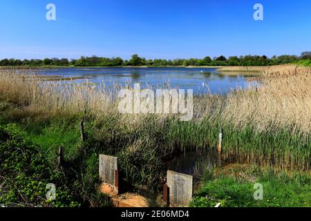 View over the Deeping Lakes Nature Reserve, Deeping St James ...