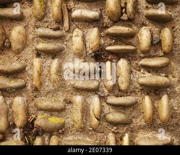 Surface bottom of pebbles glued in cement Stock Photo