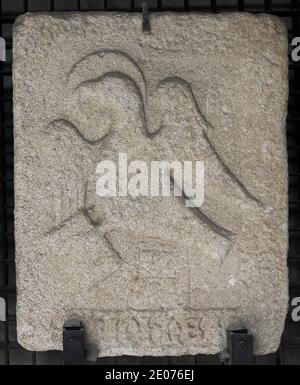 Stone slab showing a haloed eagle symbolizing Saint John (Tetramorph). 1475-1525. Probably from the Church of Santo Domingo or the Church of Santo Tomás (La Coruña, Galicia, Spain). Archaeological and History Museum (San Anton Castle). A Coruña, Galicia, Spain. Stock Photo
