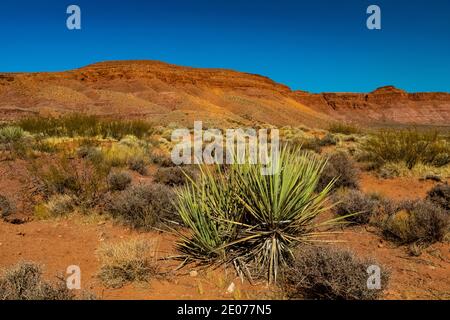 Desert landscape surrounding the Warner Valley Dinosaur Track Site near St. George, Utah, USA Stock Photo