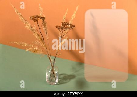 Dried flowers in a transparent minimalistic vase. Stock Photo