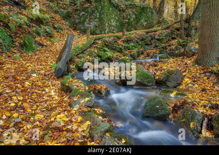 Herbstimpression aus dem Harz schmaler Wanderweg mit Bachlauf Stock Photo