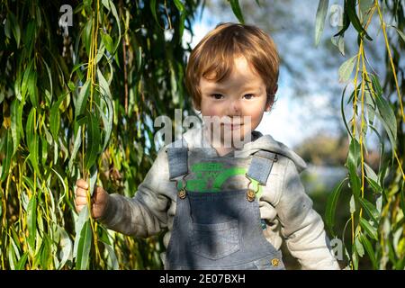 Under a willow tree a little lad enjoys his freedom Stock Photo