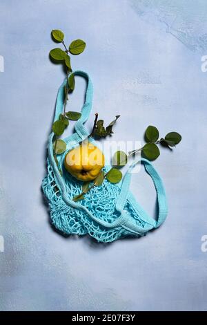 Quince apple fruit, quince tree branches and blue mesh bag on blue background. Directly above view. Fruit and leaves have natural imperfections, spots Stock Photo