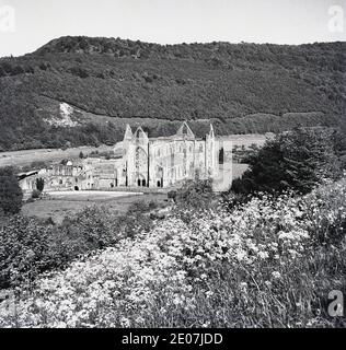 1950s, historical, a picture by J Allan Cash of Tintern Abbey. The Cistercian Abbey founded in 1131 by Walter de Clare, Lord of Chepstow lies adjacent to the village of Tintern in Monmouthshire on the Welsh border and is one of the greatest monastic ruins in Wales. Stock Photo