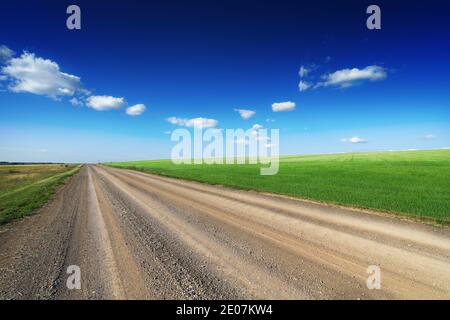 A dirt road runs next to a green wheat field. Countryside. Blue sky and a few clouds. Off-road travel. Stock Photo