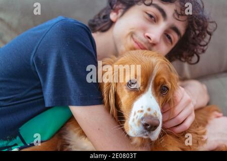 Cute Cocker Spaniel dog in knitted sweater lying on pillow at home ...