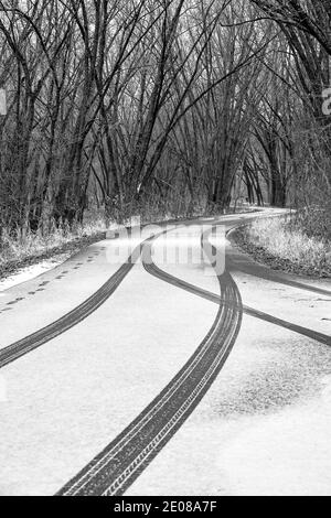 empty snow covered road through the woods and nature marsh Stock Photo