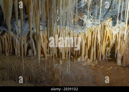 Marakoopa cave in Tasmania, Australia Stock Photo