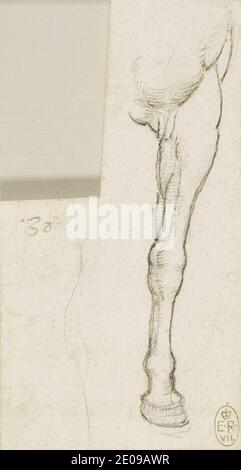 Leonardo da Vinci - A horse's fore-leg c.1517-18. Stock Photo