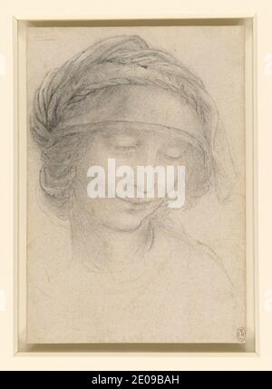 Leonardo da Vinci - The head of St Anne c.1510-15. Stock Photo