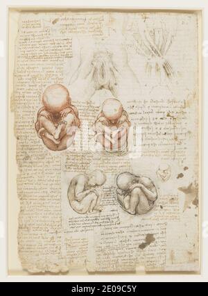 Leonardo da Vinci (1452-1519) - The skeleton (recto); The muscles of the  face and arm, and the nerves and veins of the hand (verso)