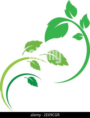 Logos of green Tree leaf ecology nature element vector Stock Vector