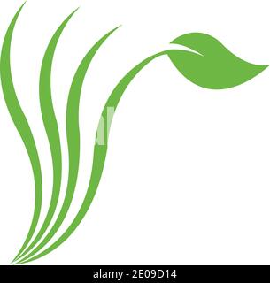 Logos of green Tree leaf ecology nature element vector Stock Vector