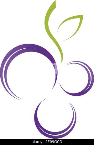 Grapes icon vector illustration design template Stock Vector