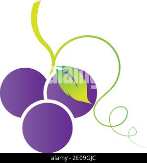 Grapes icon vector illustration design template Stock Vector