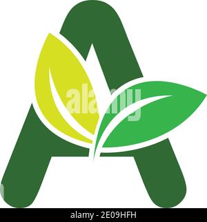 Green eco letters A logo with leaves. /symbol / alphabet / botanical / natural Green Letter A With Leaf Logo illustration design template Stock Vector