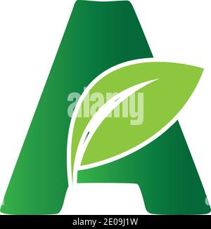 Green eco letters A logo with leaves. /symbol / alphabet / botanical / natural Green Letter A With Leaf Logo illustration design template Stock Vector