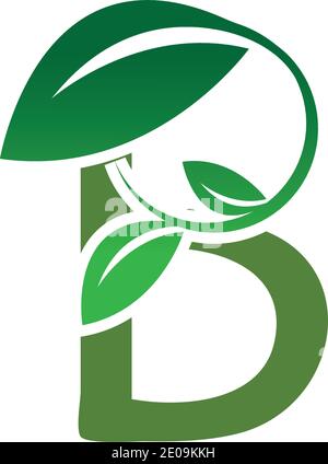 Green leaf and letter B monogram logo design vector. Stock Vector